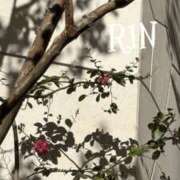 ヒメ日記 2025/10/08 09:35 投稿 りん 谷町人妻ゴールデン倶楽部