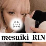 ヒメ日記 2025/11/09 06:05 投稿 りん 谷町人妻ゴールデン倶楽部