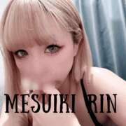 ヒメ日記 2025/11/20 15:55 投稿 りん 谷町人妻ゴールデン倶楽部