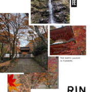 ヒメ日記 2025/12/10 04:40 投稿 りん 谷町人妻ゴールデン倶楽部