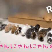 ヒメ日記 2026/02/22 12:15 投稿 りん 谷町人妻ゴールデン倶楽部