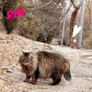 ヒメ日記 2026/03/11 02:30 投稿 りん 谷町人妻ゴールデン倶楽部