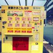 ヒメ日記 2026/04/16 12:10 投稿 りん 谷町人妻ゴールデン倶楽部