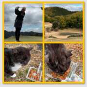 ヒメ日記 2025/02/14 07:30 投稿 みなみ 谷町人妻ゴールデン倶楽部