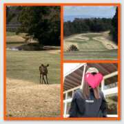 ヒメ日記 2025/04/04 07:35 投稿 みなみ 谷町人妻ゴールデン倶楽部