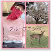 ヒメ日記 2025/04/09 07:30 投稿 みなみ 谷町人妻ゴールデン倶楽部