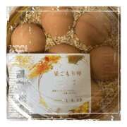 ヒメ日記 2025/04/09 18:40 投稿 みなみ 谷町人妻ゴールデン倶楽部