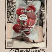 ヒメ日記 2025/04/20 17:50 投稿 みなみ 谷町人妻ゴールデン倶楽部