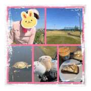 ヒメ日記 2025/04/22 07:25 投稿 みなみ 谷町人妻ゴールデン倶楽部