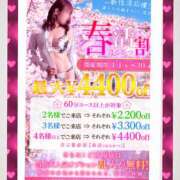 ヒメ日記 2025/04/23 07:30 投稿 みなみ 谷町人妻ゴールデン倶楽部