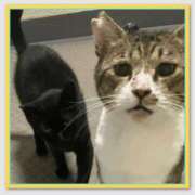 ヒメ日記 2025/08/06 07:30 投稿 みなみ 谷町人妻ゴールデン倶楽部