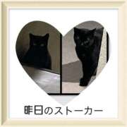 ヒメ日記 2025/10/01 17:10 投稿 みなみ 谷町人妻ゴールデン倶楽部