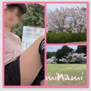 ヒメ日記 2026/04/10 07:45 投稿 みなみ 谷町人妻ゴールデン倶楽部