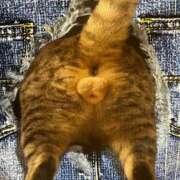 菊川　あこ 1年前と同じ… エテルナ京都