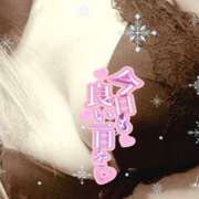 ヒメ日記 2025/02/20 16:09 投稿 葉月 一夜妻