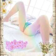 ヒメ日記 2025/04/09 01:39 投稿 葉月 一夜妻