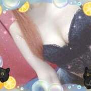 ヒメ日記 2025/04/09 20:56 投稿 葉月 一夜妻