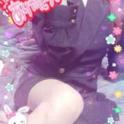 ヒメ日記 2025/05/26 10:59 投稿 葉月 一夜妻