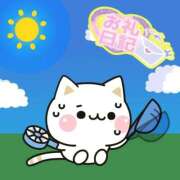 ヒメ日記 2025/06/19 13:59 投稿 葉月 一夜妻