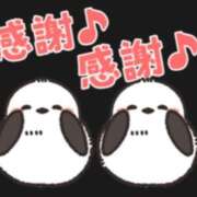 ヒメ日記 2025/06/26 13:00 投稿 葉月 一夜妻