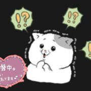 ヒメ日記 2025/07/27 23:41 投稿 葉月 一夜妻