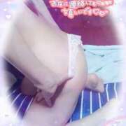 ヒメ日記 2025/08/24 19:19 投稿 葉月 一夜妻