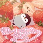 ヒメ日記 2025/11/27 22:59 投稿 葉月 一夜妻