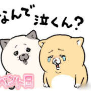 ヒメ日記 2026/02/11 23:09 投稿 葉月 一夜妻