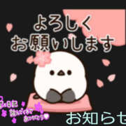 ヒメ日記 2026/04/21 02:09 投稿 葉月 一夜妻