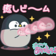 ヒメ日記 2026/07/06 18:59 投稿 葉月 一夜妻