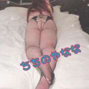 ヒメ日記 2024/12/29 11:20 投稿 なな 乳野家