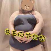 ヒメ日記 2024/12/30 03:59 投稿 なな 乳野家