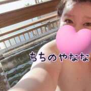 ヒメ日記 2025/02/01 03:29 投稿 なな 乳野家