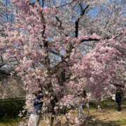 ヒメ日記 2025/04/13 19:19 投稿 なな 乳野家