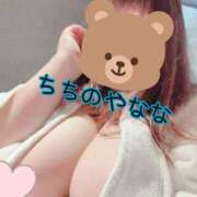 ヒメ日記 2025/09/14 13:11 投稿 なな 乳野家