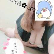 ヒメ日記 2025/10/27 23:33 投稿 なな 乳野家