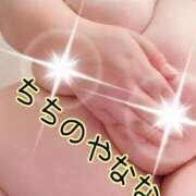 ヒメ日記 2026/06/05 11:15 投稿 なな 乳野家