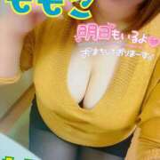 ヒメ日記 2024/12/29 00:12 投稿 ももこ 乳野家