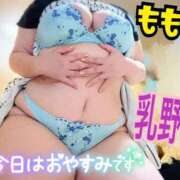 ヒメ日記 2025/01/16 11:44 投稿 ももこ 乳野家