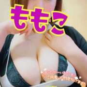 ヒメ日記 2025/02/23 21:09 投稿 ももこ 乳野家