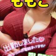 ヒメ日記 2025/03/31 19:14 投稿 ももこ 乳野家