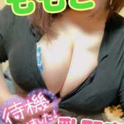 ヒメ日記 2025/04/12 15:31 投稿 ももこ 乳野家