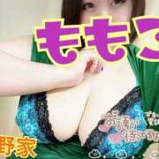 ヒメ日記 2025/05/16 20:18 投稿 ももこ 乳野家