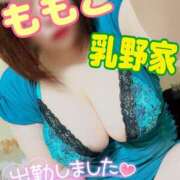 ヒメ日記 2025/05/20 10:30 投稿 ももこ 乳野家