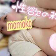 ヒメ日記 2025/10/12 20:56 投稿 ももこ 乳野家