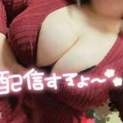 ヒメ日記 2025/11/04 21:21 投稿 ももこ 乳野家