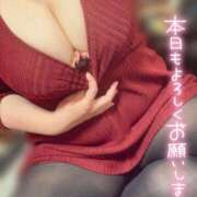 ヒメ日記 2026/02/15 19:31 投稿 ももこ 乳野家