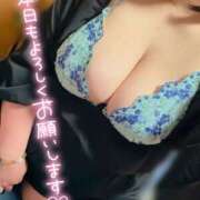 ヒメ日記 2026/03/31 18:41 投稿 ももこ 乳野家