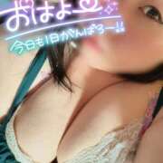 ヒメ日記 2026/05/20 08:15 投稿 ももこ 乳野家