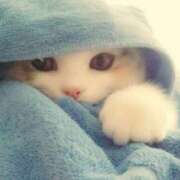 ヒメ日記 2025/10/28 14:50 投稿 ひみこ 艶熟妻 京都店